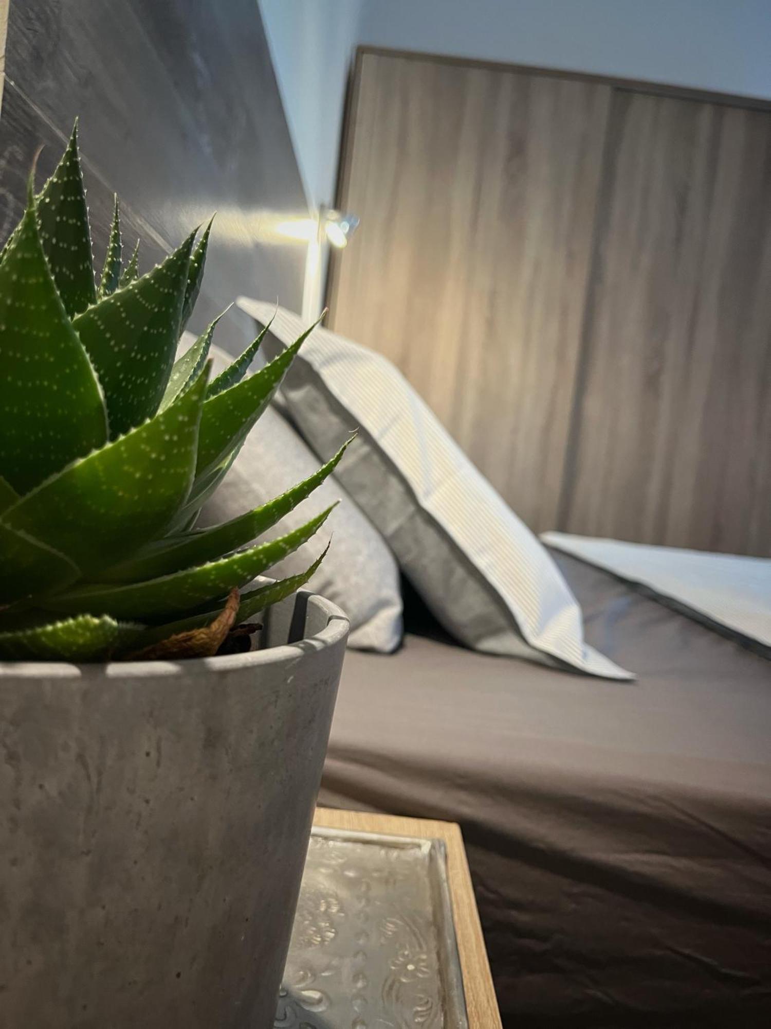 Buzzstays: 1-Bed Bungalow, Garden, Near Yumbo & Beach Maspalomas  Buitenkant foto
